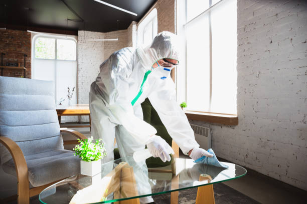 Biohazard Mold Removal in Caldwell, TX